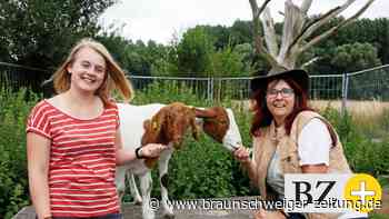 Rottix-Farm in Groß Gleidingen – ein Ort für Tier und Mensch - Braunschweiger Zeitung