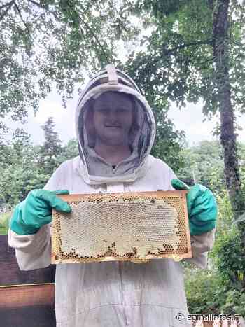 A Epinal, la sécheresse menace aussi les abeilles ! - Epinal infos - Epinal Infos