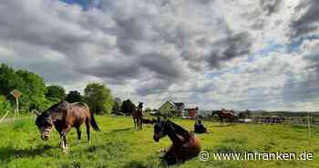 Pferdegnadenhof Itzgrundhof braucht dringend Hilfe - "wir arbeiten gegen die Zeit"