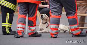 Detmolder Feuerwehr rettet drei Hunde bei Kellerbrand | Lokale Nachrichten aus Detmold - Lippische Landes-Zeitung