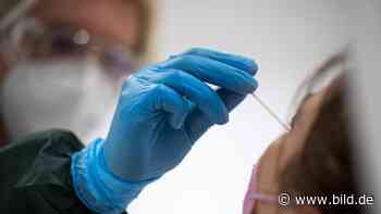 Kommentar: Machen Sie Schluss mit dem Test-Chaos, Herr Lauterbach! | Politik - BILD