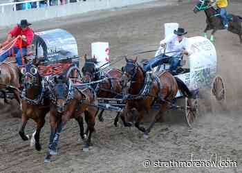Calgary Stampede Chuckwagon standings after Friday night - StrathmoreNow.com - Local news, Weather, Sports, Free Classifieds, and Job Listings for Strathmore and southern Alberta. - StrathmoreNow.com