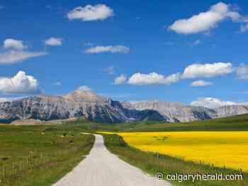 Penner: Find your (mostly) peace and quiet on Alberta's backroads - Calgary Herald