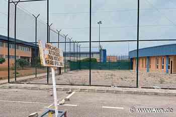 Freude über Nachrichten aus Mallorca