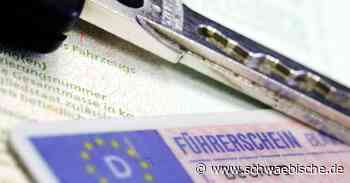 Lindau: Afghane trickst bei Führerscheinprüfung - Schwäbische