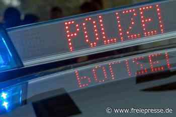 Chemnitz: Mutmaßlicher Kupferdieb flüchtet aufs Dach - freiepresse.de