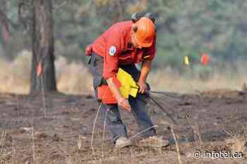 Opening burning prohibited in Kamloops Fire Centre | iNFOnews | Thompson-Okanagan's News Source - iNFOnews