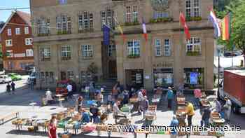 Bücher und Altpapier - Kolping Schramberg unterstützt damit zwei Projekte - Schwarzwälder Bote