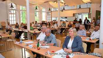 Grobe Richtung ist klar - CDU diskutiert in Schramberg über Energiestrategien - Schwarzwälder Bote