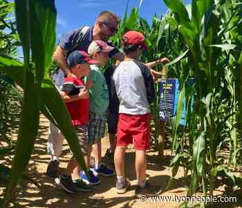Loisirs d'été près de Lyon. La nature vous joue des (dé)tours à Labyland - - Lyon People