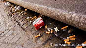 Lyon : une nouvelle "Clean Walk" place Carnot - Radio Scoop