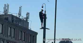 Man climbs lamppost and shuts road for hours in Scarborough - Hull Live