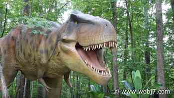 Explore Park’s T-Rex Trail hits 10,000 guests - WDBJ