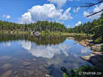 Yesterday: trail nero, today: town nero and tomorrow: zero. - The Trek