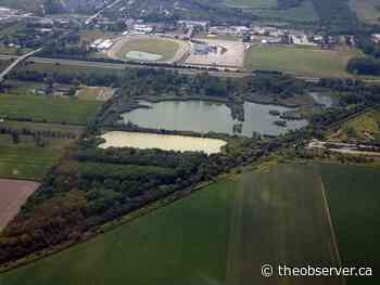 Trail upgrade planned at Wawanosh Wetland Conservation Area - The Sarnia Observer