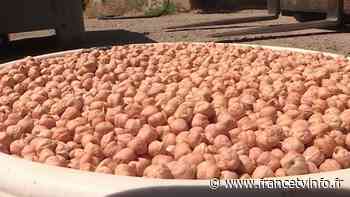 Alimentation : à Nice, les commerçants s'inquiètent de la pénurie de pois chiches - franceinfo