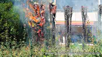 In Pfuhl brennt eine Hecke