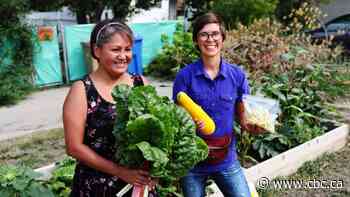 Regina inner city community garden program expands to homes, helps fight for food security