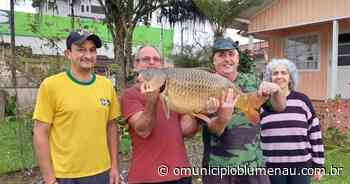 Morador de Brusque pesca carpa de 15 quilos no rio Itajaí-Mirim - O Município Blumenau