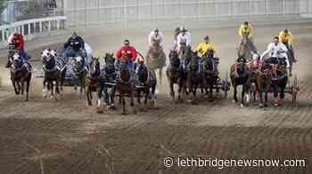 Horse put down following injury during Calgary Stampede chuckwagon races - Lethbridge News Now
