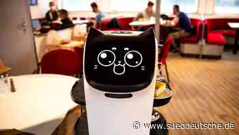 Gastro-Roboter "Bella Bot" serviert auf Borkum-Fähre - Süddeutsche Zeitung - SZ.de