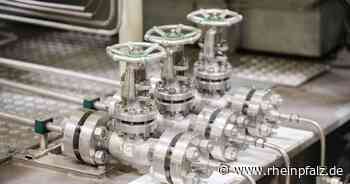 Städtetag: Krisenstäbe bereiten sich auf Gasmangel vor - Wirtschaft - Rheinpfalz.de