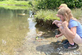 Boat builders and sailors in the making – Maple Ridge News - Maple Ridge News