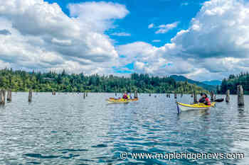 SHARE: Four-hour paddle around a man-made lake – Maple Ridge News - Maple Ridge News