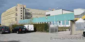 «Cronaca di una morte annunciata, non è campanilismo: è diritto alla salute» - Termoli Online
