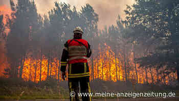 Massive Waldbrände wüten in Europa – hunderte Tote