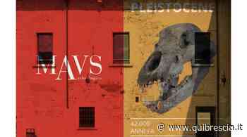 Gavardo, il museo prende vita grazie al videomapping - QuiBrescia - QuiBrescia.it