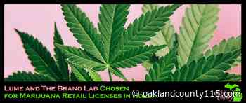 Lume and The Brand Lab Chosen for Marijuana Retail Licenses in Holly - Oakland County Times