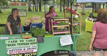 Veggie Fest in Aurora showcases all-natural food while also promoting women-owned businesses - Chicago Tribune