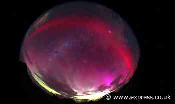 Aurora breakthrough: ‘Never-before-recorded’ red arc activity seen above New Zealand - Express