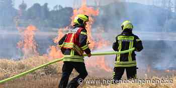 Marl: Rauchwolke - Feuerwehr kämpft mit großem Flächenbrand - Hertener Allgemeine