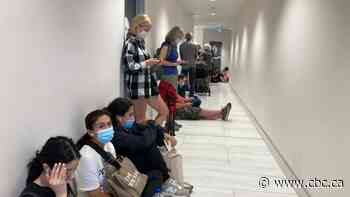 Lineup hours long outside Kitchener, Ont., passport office as Ottawa assures it will get better - CBC.ca