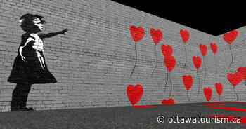 Immersive art experiences this summer in Ottawa - Ottawa Tourism