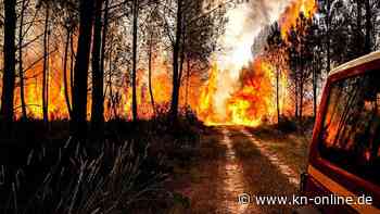 Wie im Katastrophenfilm: Video zeigt Autofahrt durch das Flammeninferno