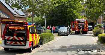 Houten tuinhuis vat vuur in wijk Schonegem | Erpe-Mere | hln.be - Het Laatste Nieuws