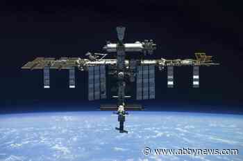 High-flying experiment: Do stem cells grow better in space?