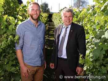 Drei Weine mit höchster Punktzahl – Nick Bösiger ist «Berner Winzer des Jahres» - Berner Zeitung