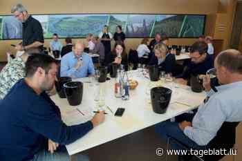 Der Rat der Weisen / So werden die Luxemburger Weine für den „Guide Hachette“ ausgewählt - Tageblatt online