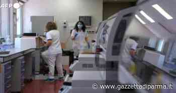 Parma, i nuovi positivi sempre sopra soglia 500 (+ 564). E c'è un decesso - Gazzetta di Parma