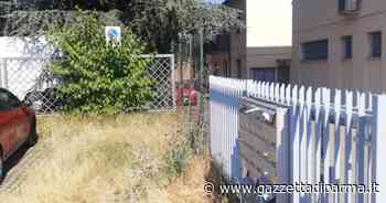 "Foresta amazzonica? No, parcheggio di viale Villetta" - Gazzetta di Parma