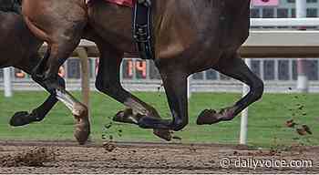 Long-Odds Horses Pay Baltimore Racetrax Regular A $15473 Prize - Daily Voice