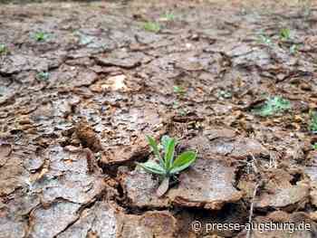 Bundesländer wegen Trockenheit und Hitze in Sorge | Presse Augsburg - Presse Augsburg