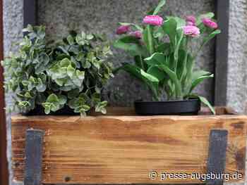 Landkreistagspräsident gegen "Blumengießverbote" wegen Dürre | Presse Augsburg - Presse Augsburg