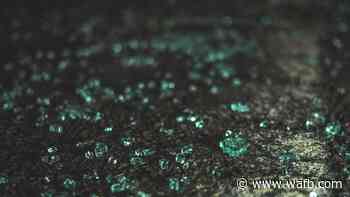 Louisiana State Police seek help with unidentified female killed in crash - WAFB