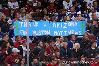 Arizona Coyotes are Focused on the Big Picture, Fans Should as Well. - Howlin' Hockey