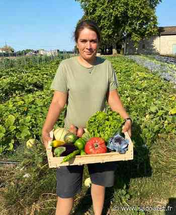 Cavignac : le conseil municipal vote pour les fruits et légumes bios à la cantine - Sud Ouest